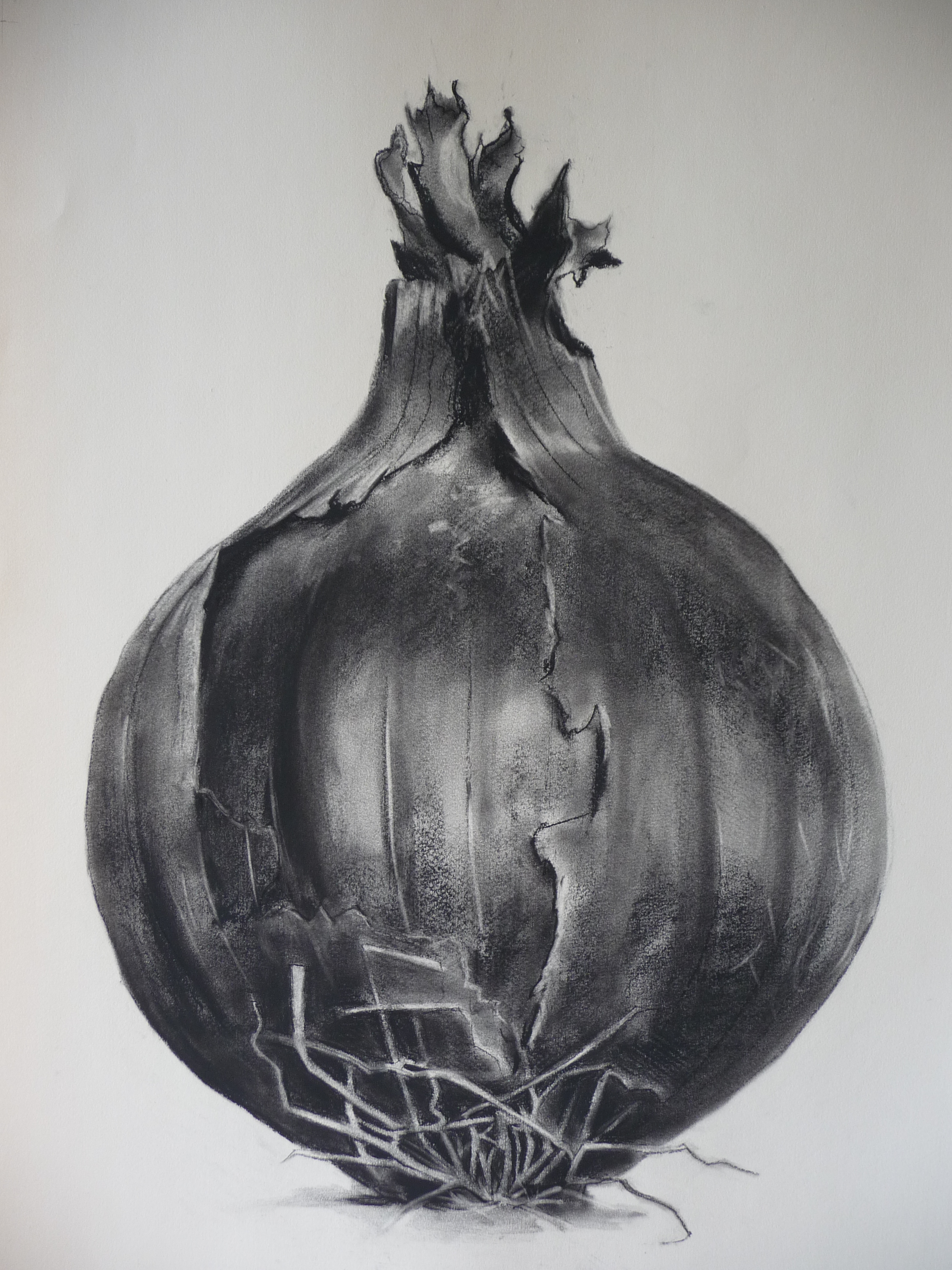 Charcoal drawing of a red onion